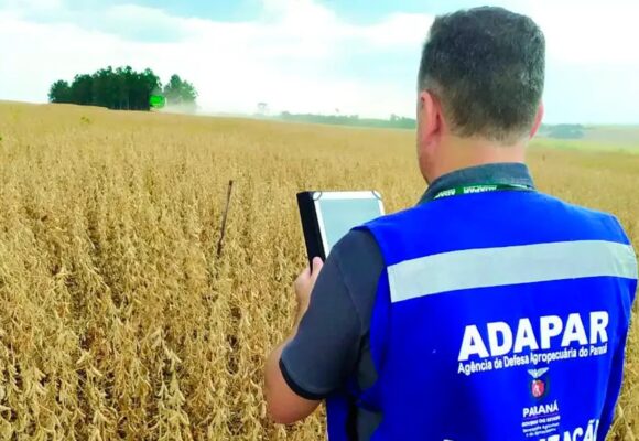 WhatsApp Image 2025-12-12 at 14.46.46 Paraná institui o Dia Estadual do Adapariano, celebrado em 20 de dezembro